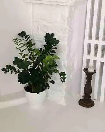 Sao Smallport Paros Daire *